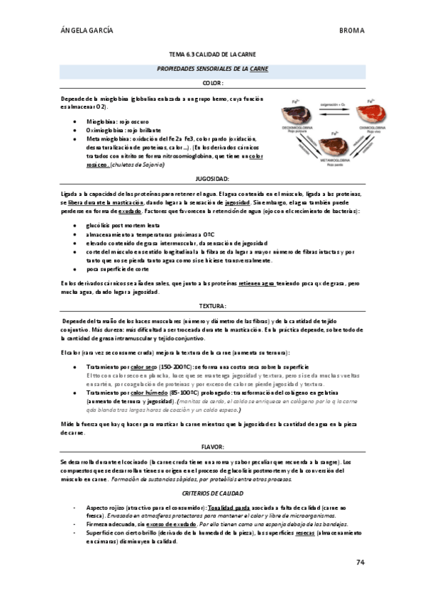 Miniatura del documento T6.-3-Propiedades-Sensoriales-de-la-Carne.pdf