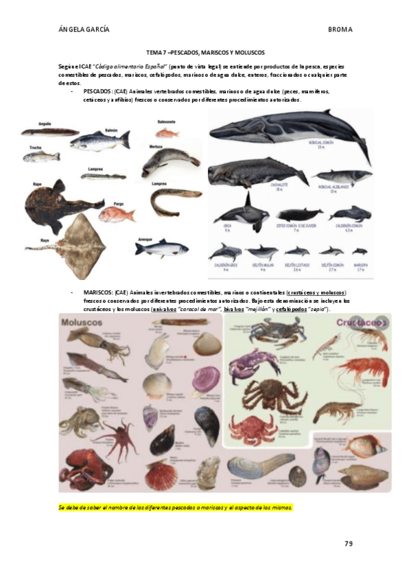 Miniatura del documento T7-Pescados-Mariscos-y-Moluscos.pdf