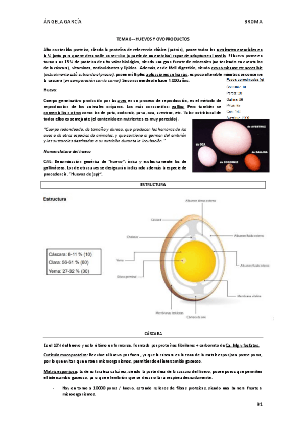 Miniatura del documento T8-Huevos-y-Ovoproductos.pdf