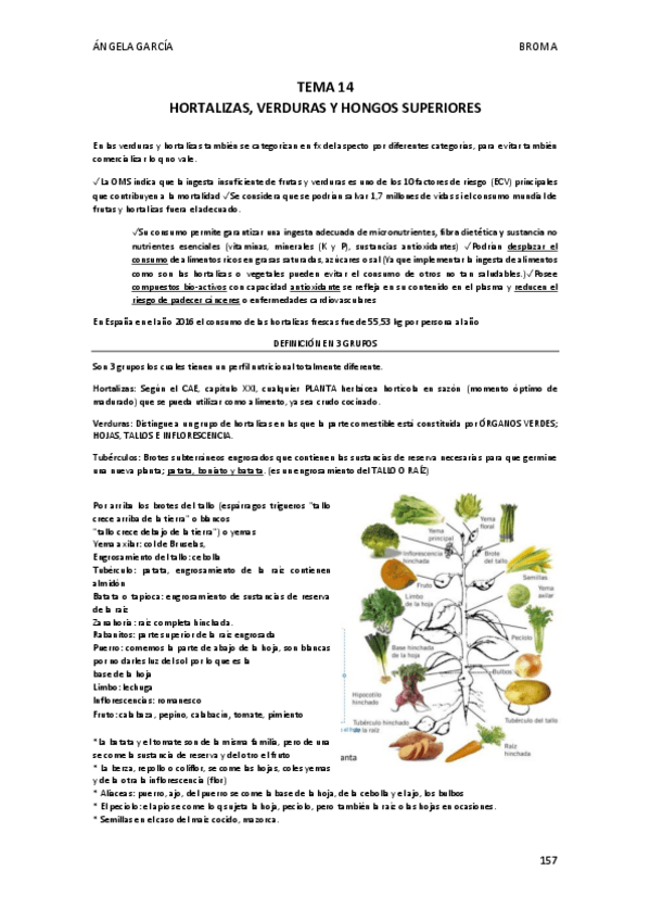 Miniatura del documento T14-Hortalizas-Verduras-y-Hongos.pdf