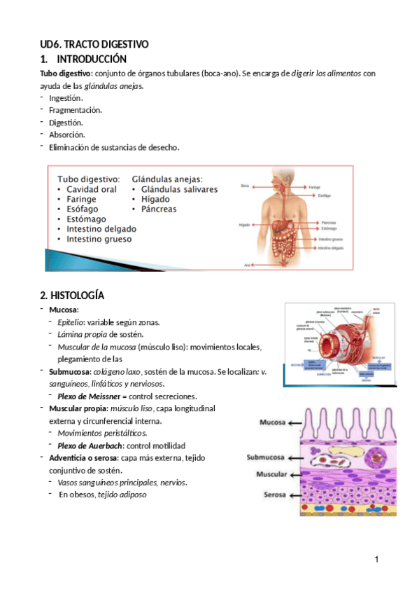 Miniatura del documento UD7-CITOLOGIA-GENERAL.pdf