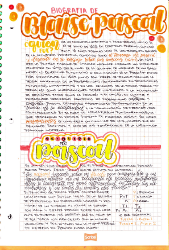 Miniatura del documento CAMPO-FISICA.pdf