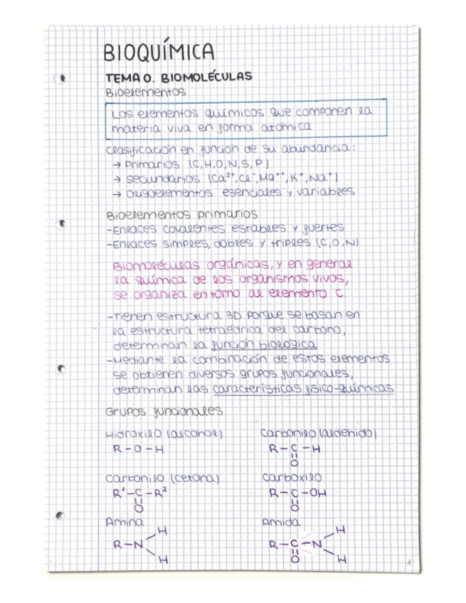 Miniatura del documento APUNTES-BIOQUIMICA.pdf