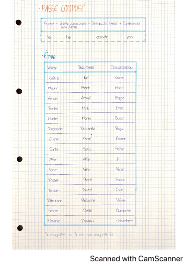 Miniatura del documento Passe-compose-etre.pdf