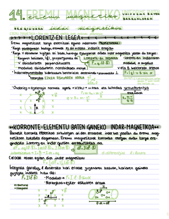Miniatura del documento Eremu-magnetikoa-apunteak.pdf