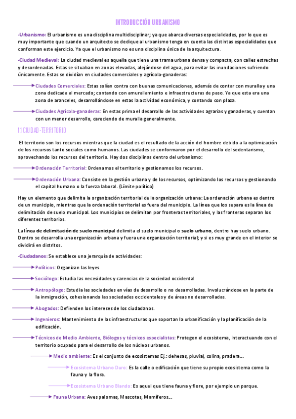 Miniatura del documento INTRODUCCION-URBANISMO.pdf