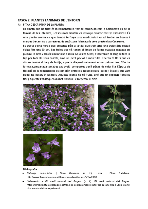 Miniatura del documento TASCA-2.-CNS.pdf