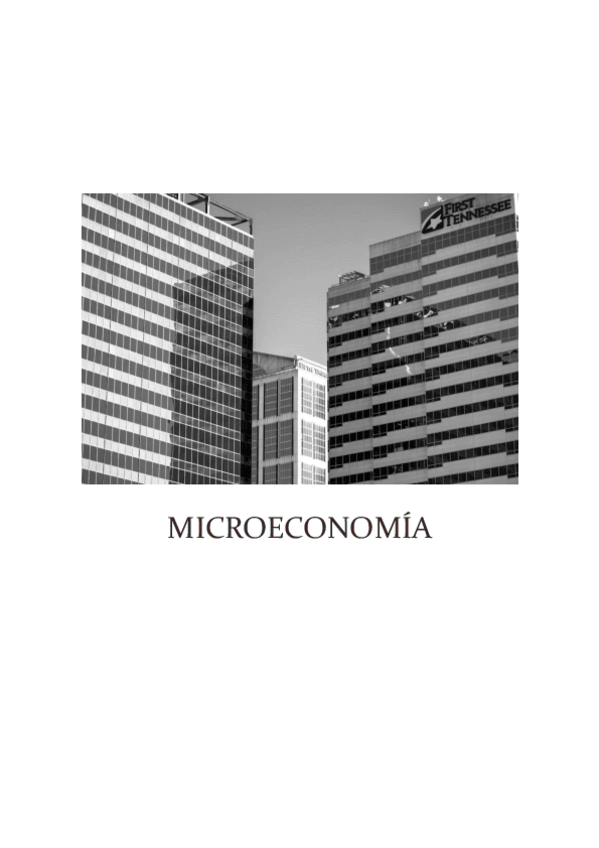 Miniatura del documento MICROECONOMIA-APUNTES.pdf