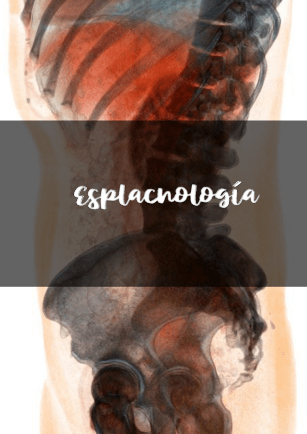 Miniatura del documento APUNTES-ESPLACNOLOGIA.pdf