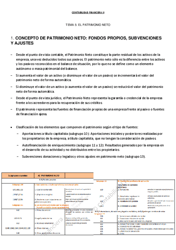 Miniatura del documento Tema-5.-PATRIMONIO-NETO.pdf