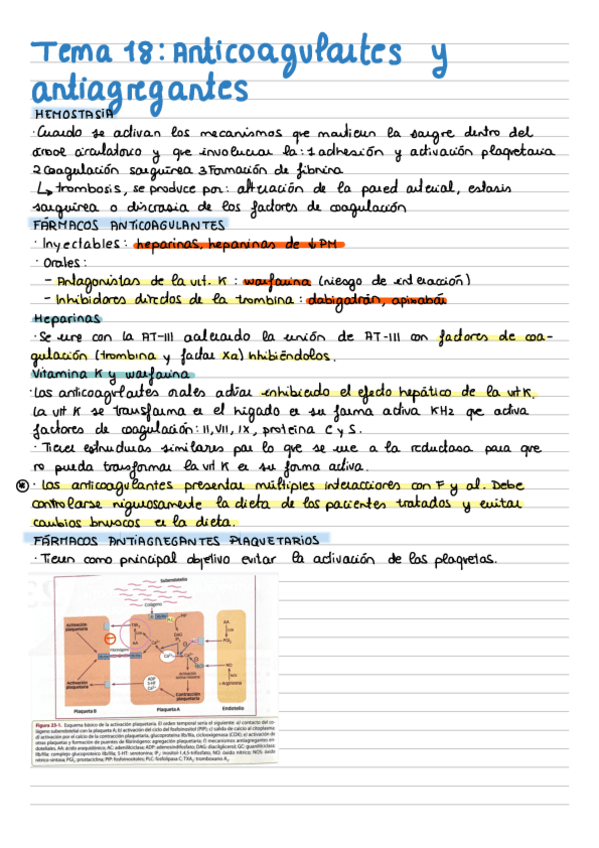 Miniatura del documento Tema-18-Anticoagulantes-y-antiagregantes.pdf