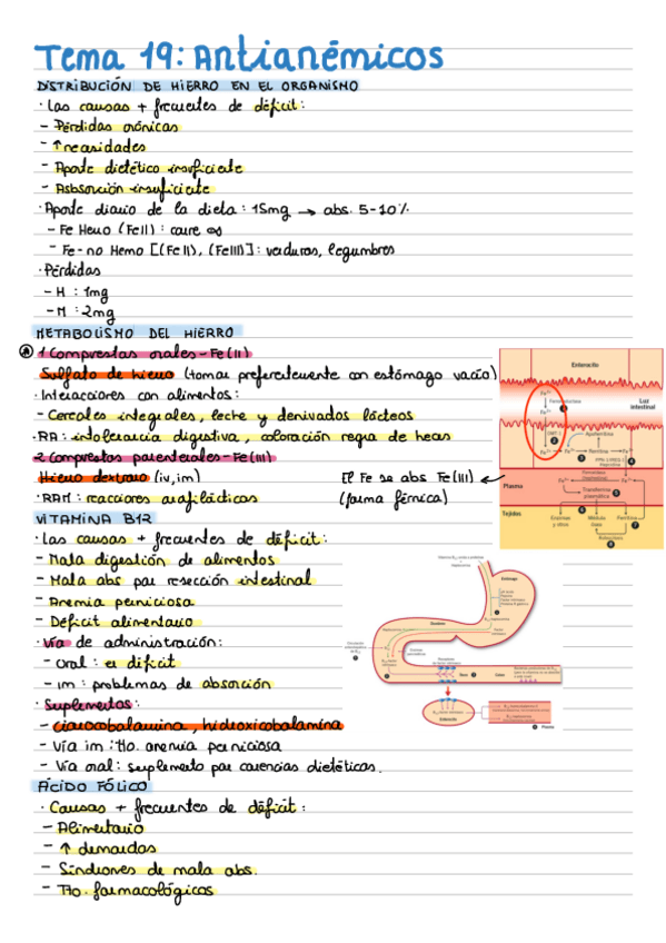 Miniatura del documento Tema-19-Antianemicos.pdf