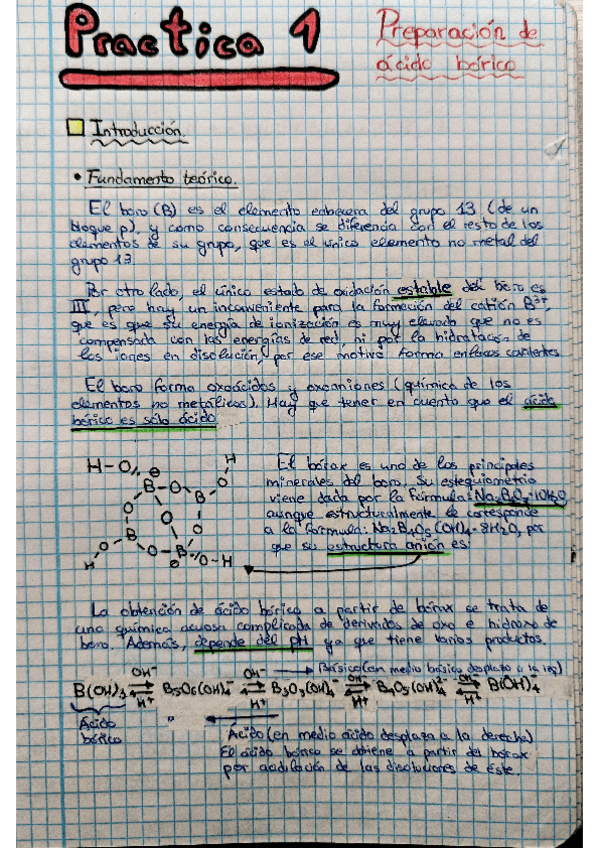 Miniatura del documento Cuaderno-practicas-inorganica.pdf