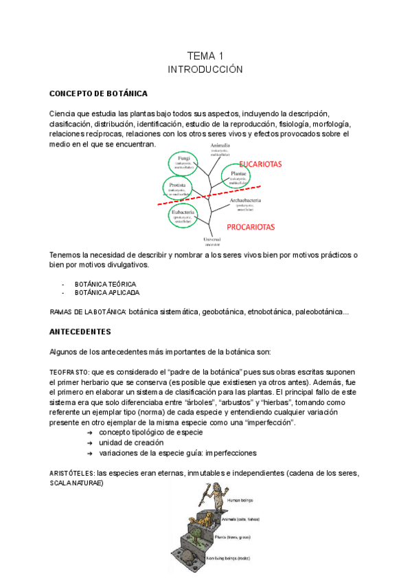 Miniatura del documento BOTANICA-MARINA-tema-1.pdf