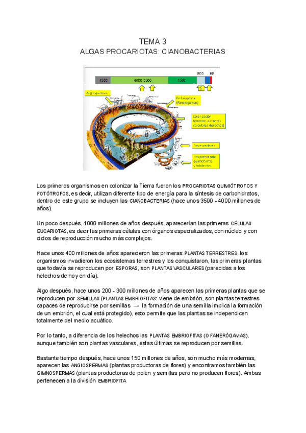 Miniatura del documento BOTANICA-MARINA-tema-3.pdf