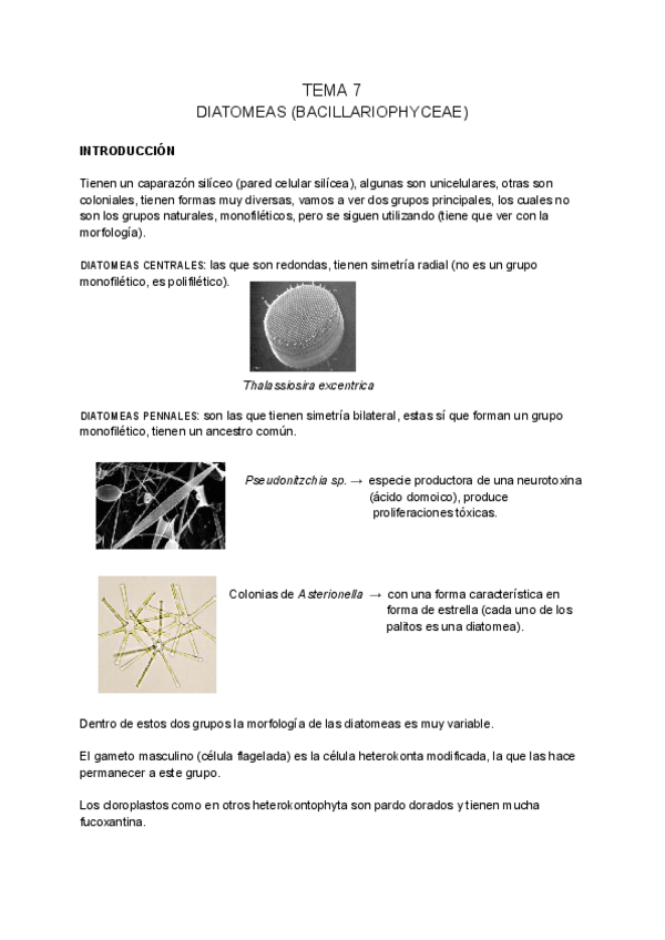 Miniatura del documento BOTANICA-MARINA-tema-7.pdf