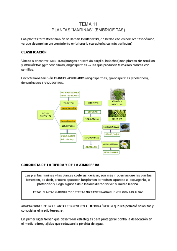 Miniatura del documento BOTANICA-MARINA-tema-11.pdf