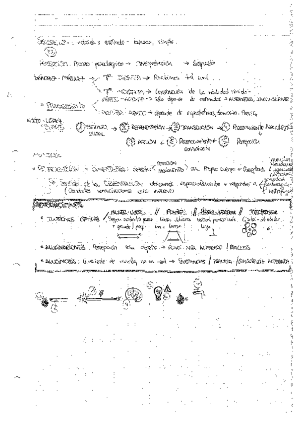 Miniatura del documento Resumenes-para-estudiar-Percepcion-y-Atencion.pdf