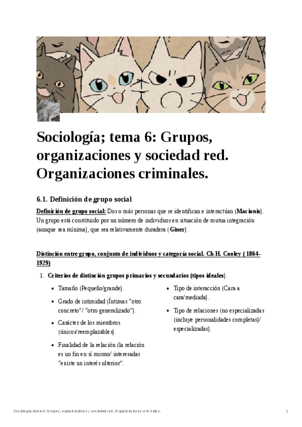 Miniatura del documento Sociologia-tema-6-Grupos-organizaciones-y-sociedad-red.-Organizaciones-criminales..pdf