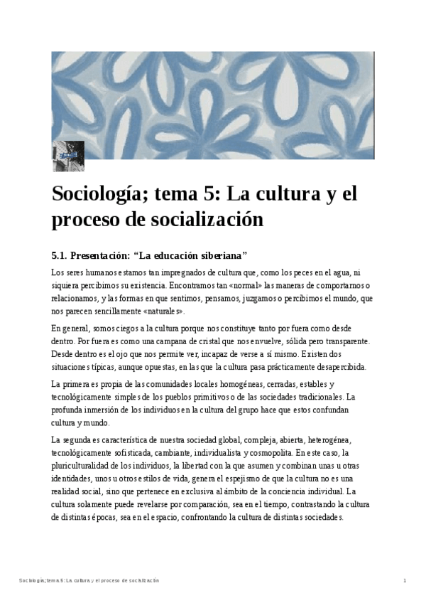 Miniatura del documento Sociologia-tema-5-La-cultura-y-el-proceso-de-socializacion.pdf