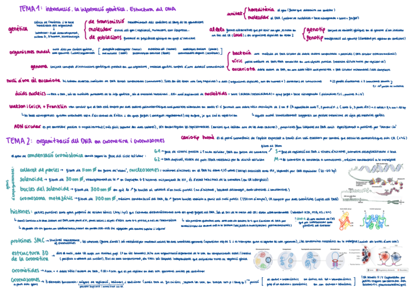 Miniatura del documento resum-temari-1r-parcial.pdf