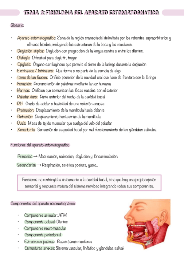 Miniatura del documento EO.-Aparato-estomatognatico-Tema-3.pdf