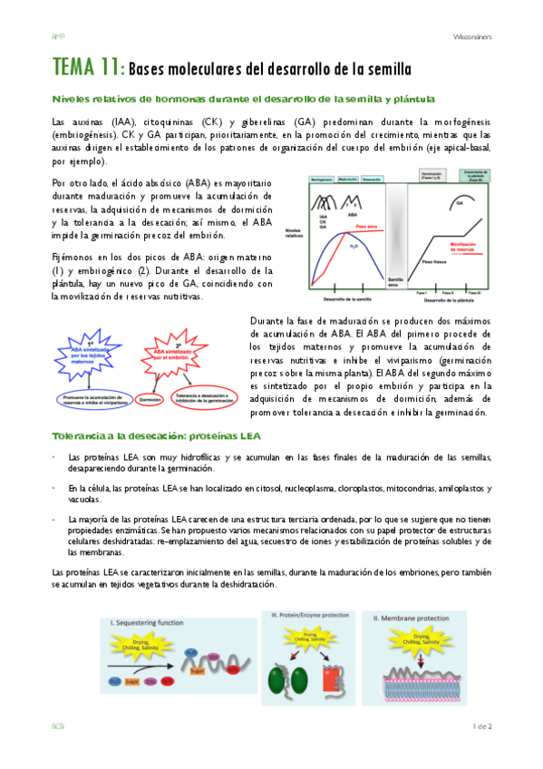 Miniatura del documento TEMA-11-lo-que-falta.pdf