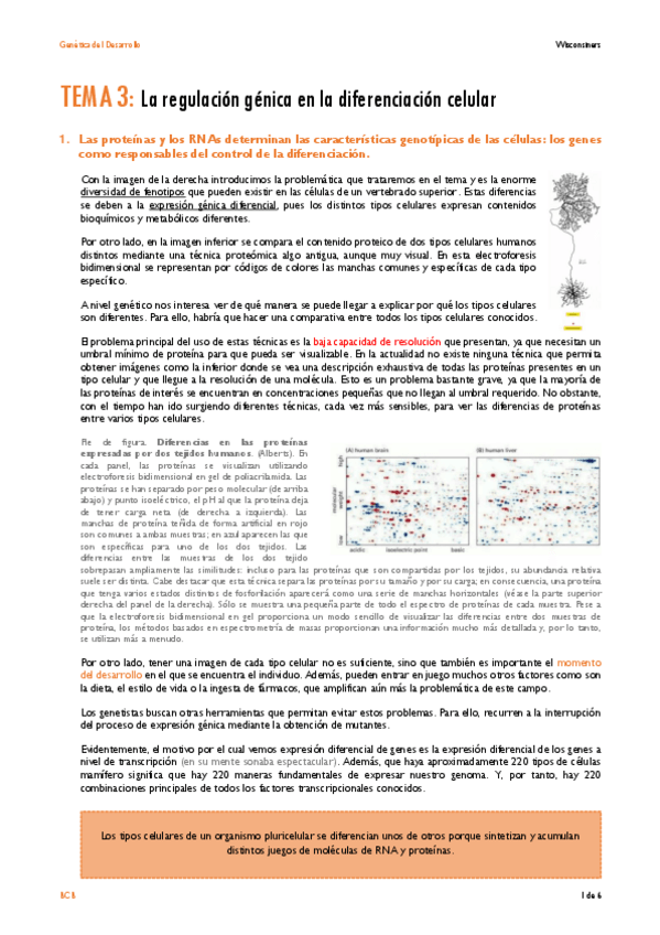 Miniatura del documento TEMA-3.pdf