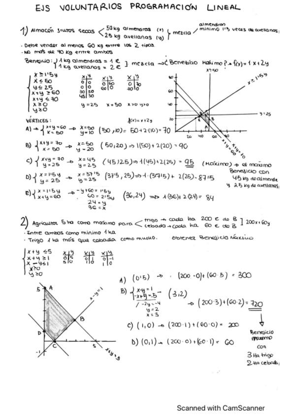 Miniatura del documento PROGRAMACION-LINEAL-EVAU.pdf