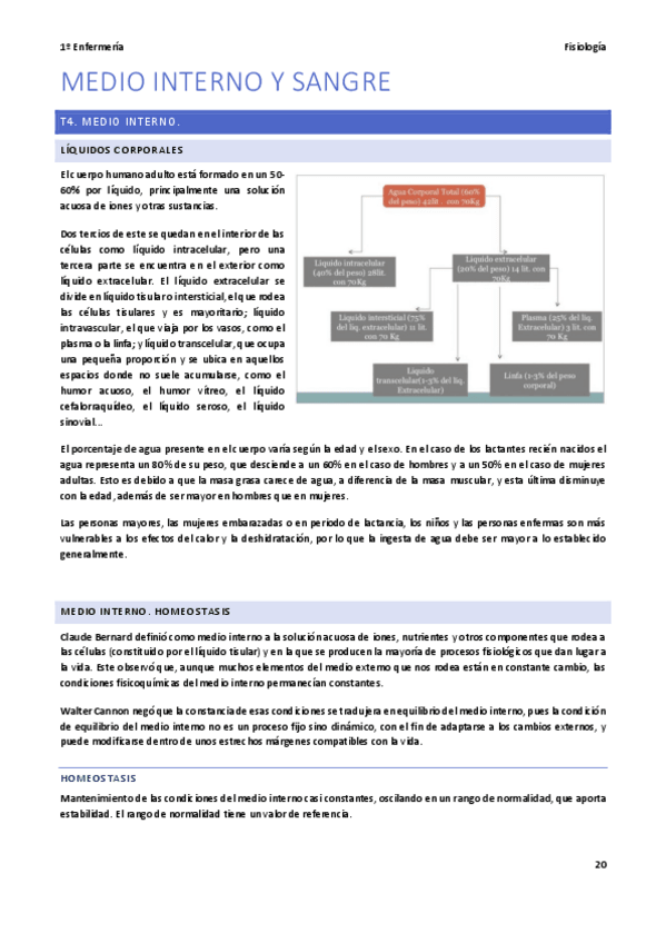 Miniatura del documento Medio-interno-y-sangre-APUNTES.pdf
