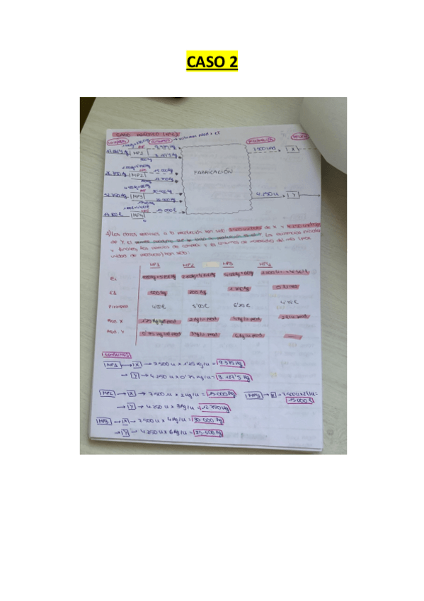 Miniatura del documento CASO-2.pdf