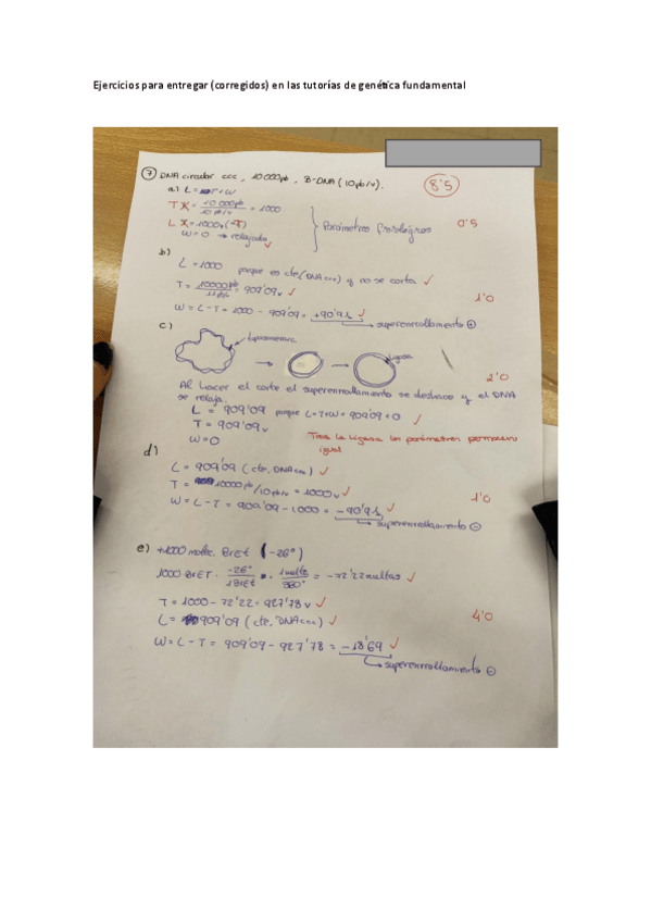 Miniatura del documento ejercicios-tutorias-corregidos.pdf