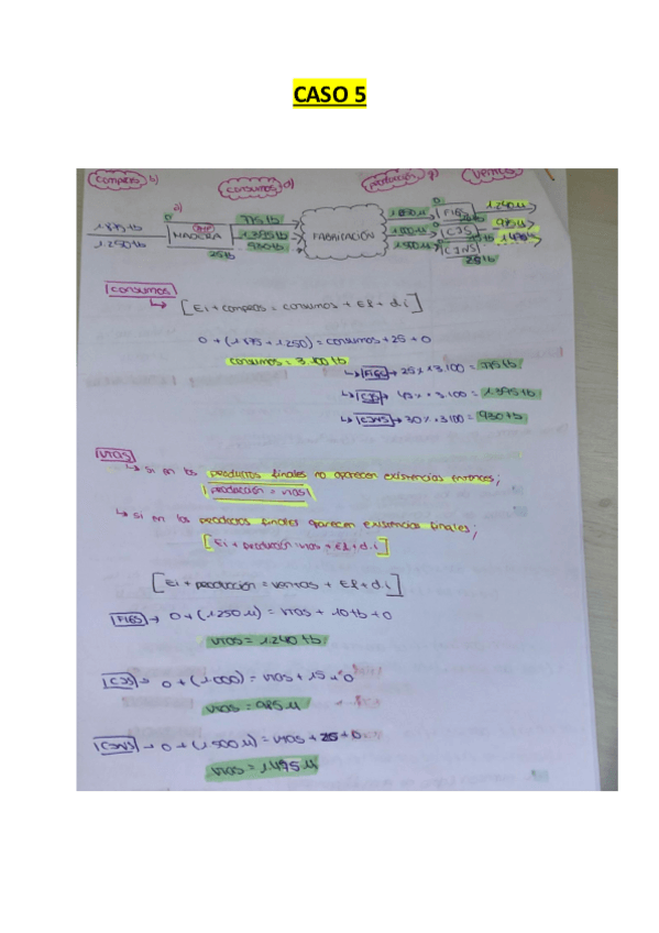Miniatura del documento CASO-5.pdf