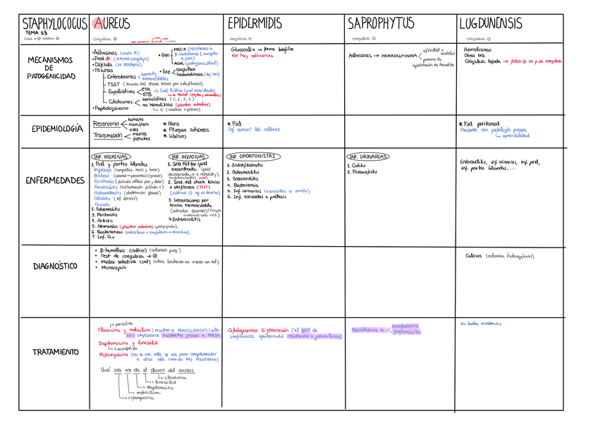 Miniatura del documento Tema-15.pdf