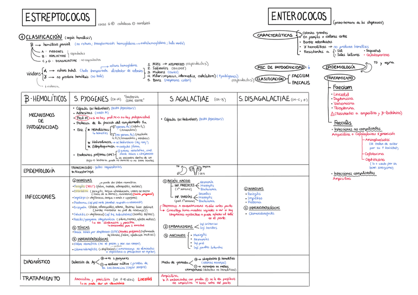 Miniatura del documento Tema-16.pdf