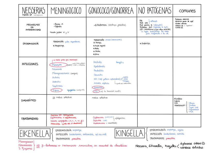 Miniatura del documento Tema-17.pdf