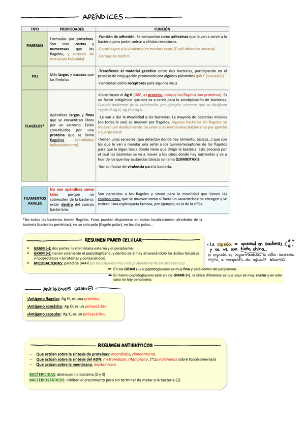 Miniatura del documento Tema-2a.pdf