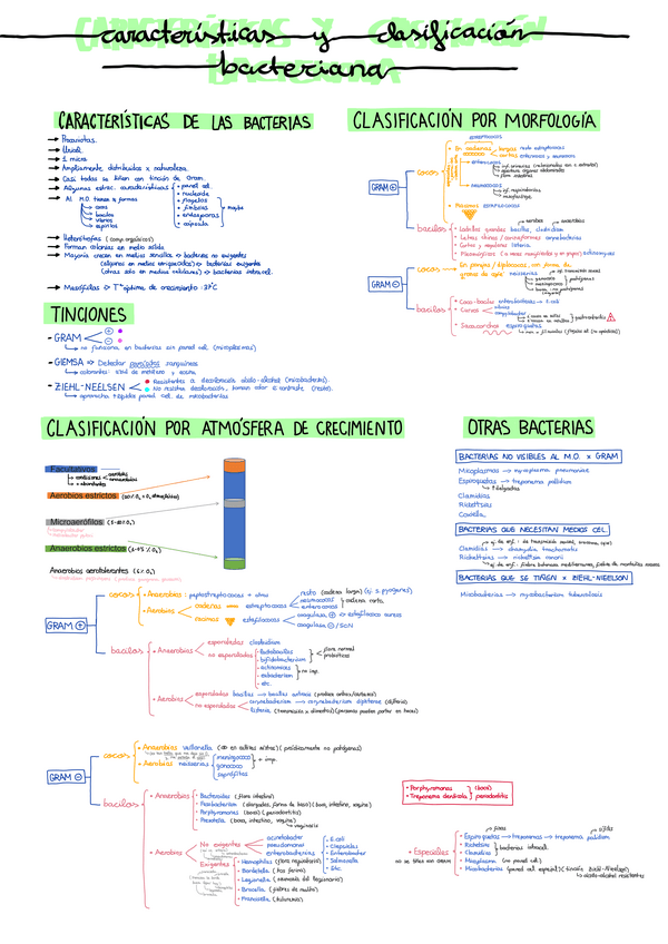 Miniatura del documento Tema-13.pdf