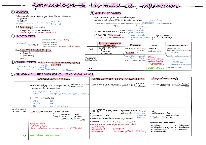 Miniatura del documento 3.3.-Inflamacion.pdf