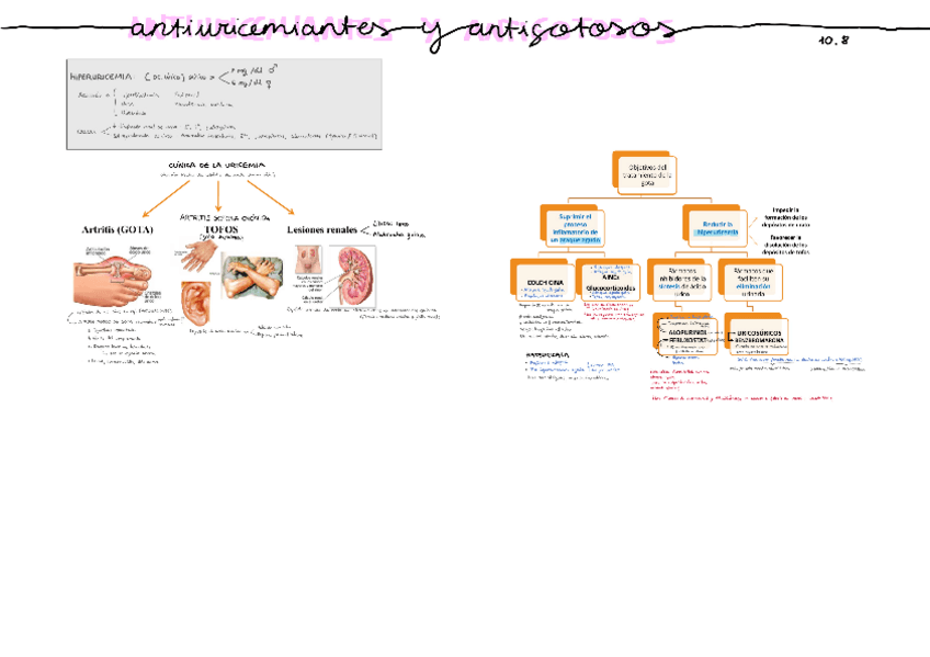 Miniatura del documento 10.8-Hipouricemiantes-y-antigotosos.pdf