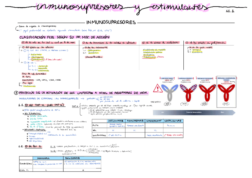 Miniatura del documento 11.1-Inmunosupresores-y-estimulantes.pdf