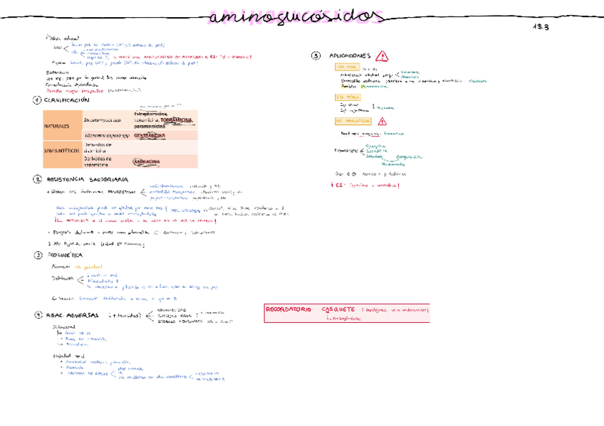 Miniatura del documento 13.3-Aminoglucosidos.pdf