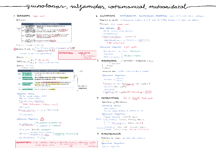 Miniatura del documento 13.6-Quinolonas.-Sulfamidas.-Cotrimoxazol.-Metronidazol.-Nitrofurantoina.pdf