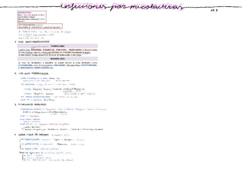 Miniatura del documento 13.7-Inf.-por-micobacterias.pdf