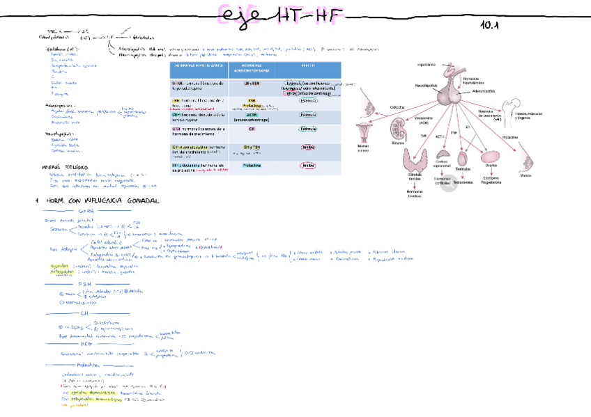 Miniatura del documento 10.1-HT.pdf