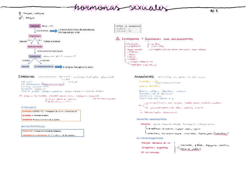 Miniatura del documento 10.3-Horm.-sexuales.pdf