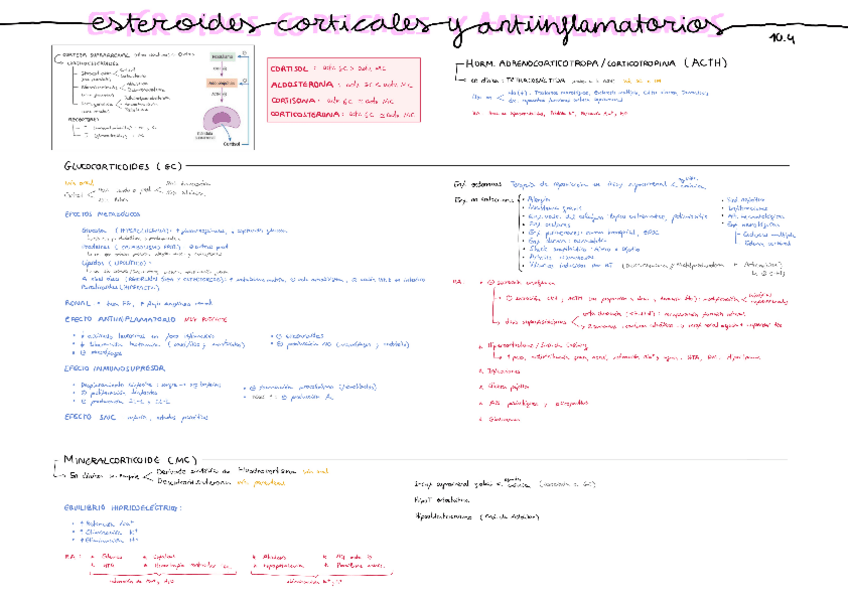 Miniatura del documento 10.4-Esteroides-corticales-y-antinflamatorios.pdf