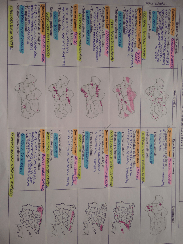 Miniatura del documento 1531733858466564294517.jpg