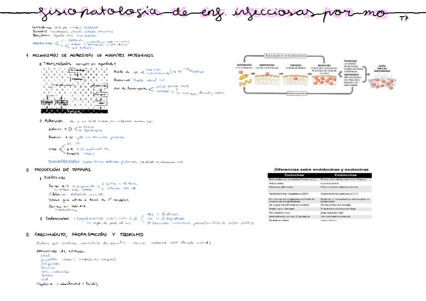 Miniatura del documento Tema-7.pdf
