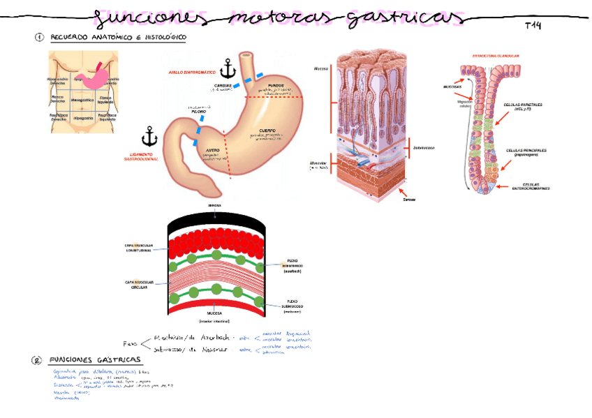 Miniatura del documento Tema-8.pdf